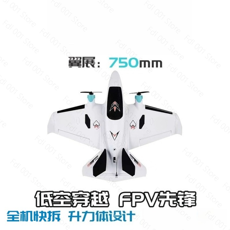 Avion RC à aile fixe FPV à dou - Drone Rc Airplane avis et prix